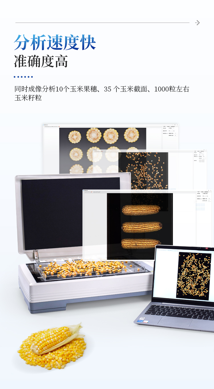 玉米考种仪