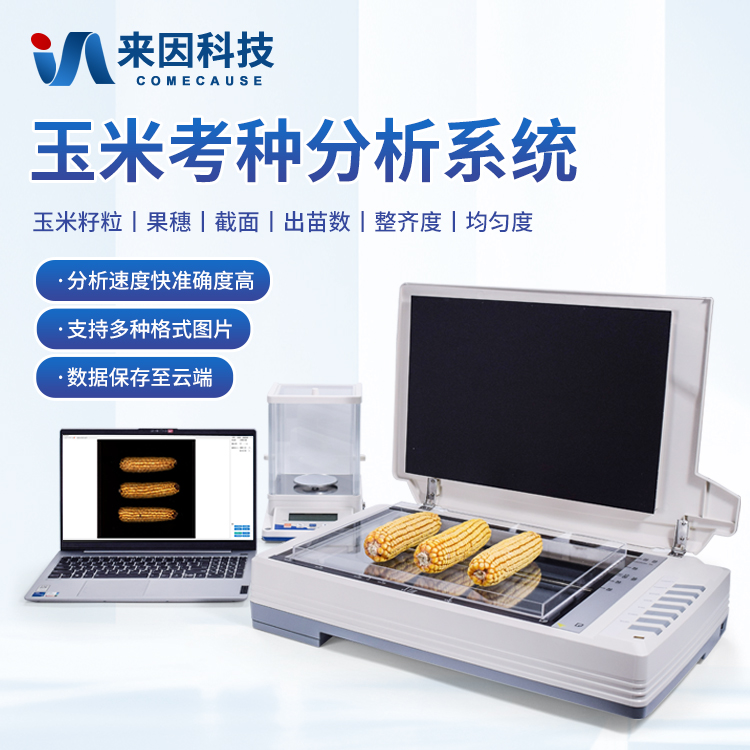 玉米考种分析系统