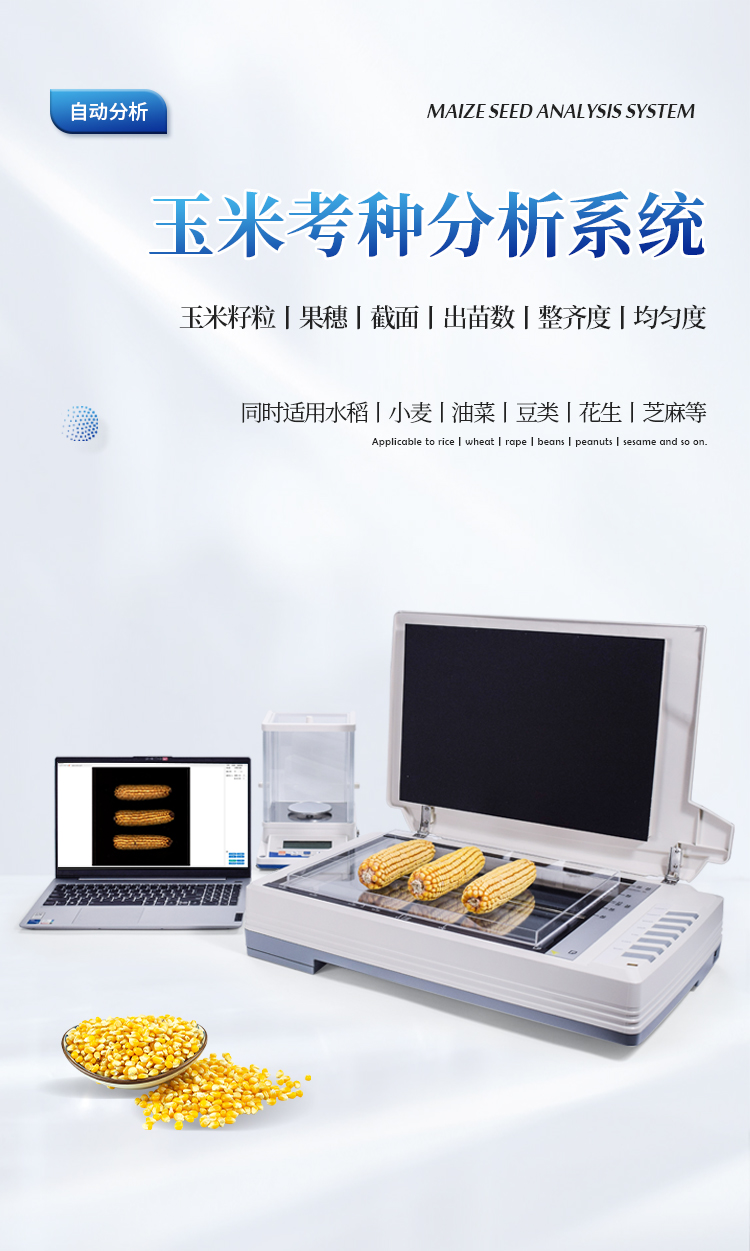 玉米整穗分析仪