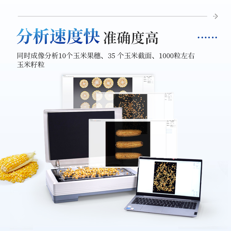玉米考种仪